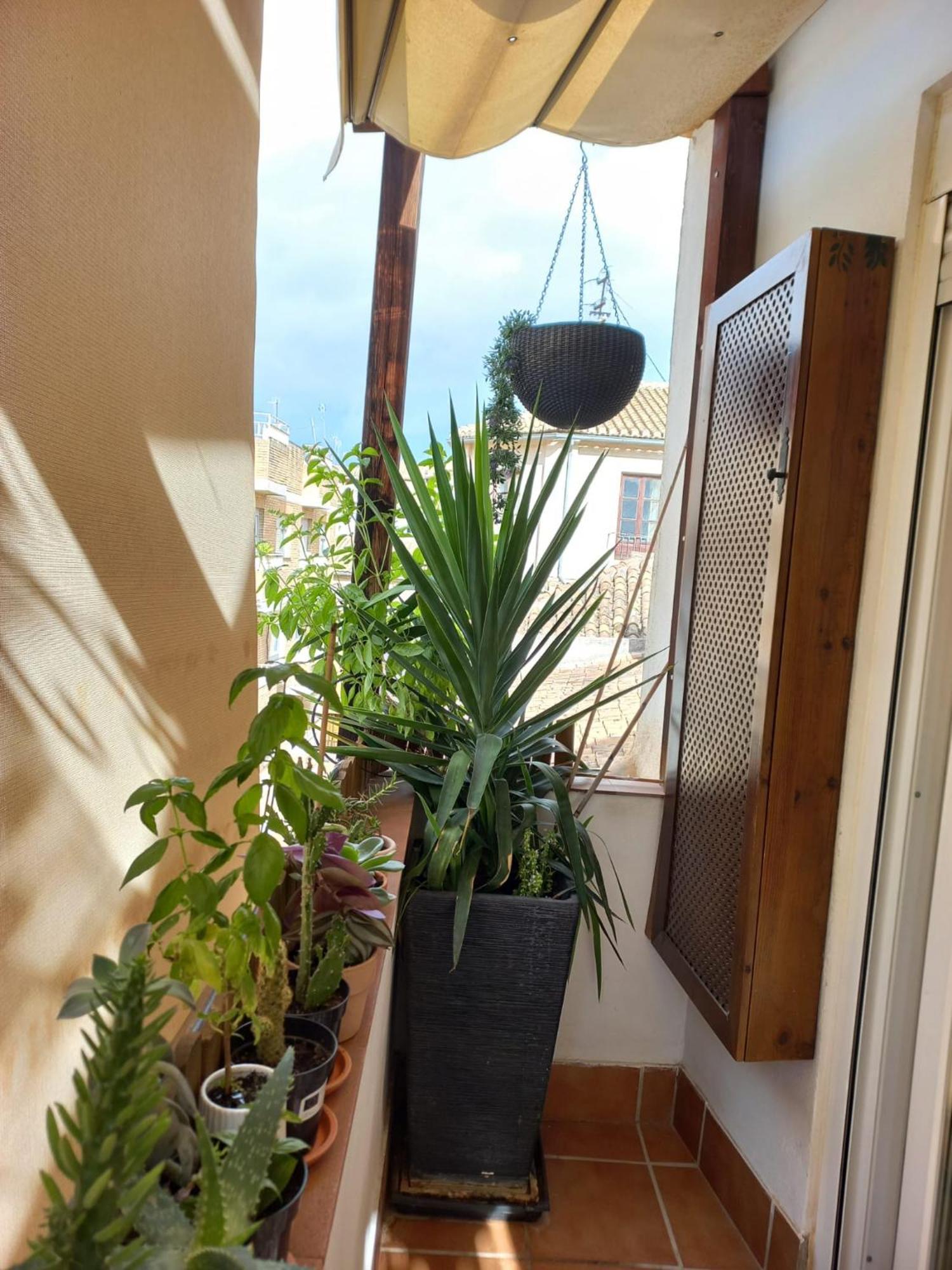 Atico Exclusivo En El Centro De Granada Appartement Buitenkant foto